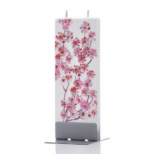 Cherry Blossom