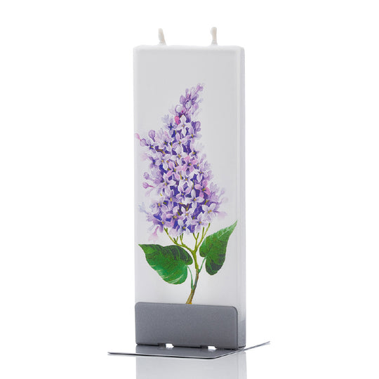 Purple Lilac